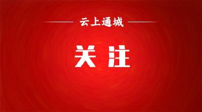 中国共产党通城县第十五届委员会第九次全体会议公报