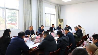 通城县召开2025年城（乡）燃气安全生产专业委员会第一次会议暨燃气安全突出问题整治工作会