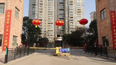 视频-拍福照 送春联 邻里欢乐迎新年｜通城县平安滨江苑一期开展新春便民活动 