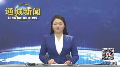视频-通城县召开2025年党外干部年轻干部座谈会 