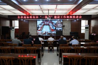 通城县收听收看全市高标准农田“一张图”建设工作视频推进会  
